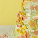 Painted Cake